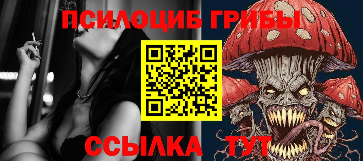 Псилоцибиновые грибы GOLDEN TEACHER  Вход с VPN  Ставрополь 