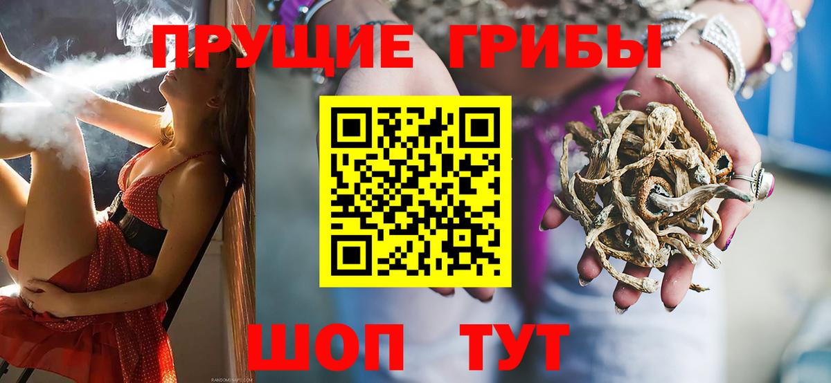 Псилоцибиновые грибы Psilocybe Ставрополь