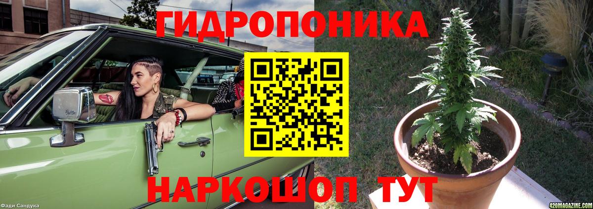 Бошки Шишки SATIVA & INDICA Ставрополь